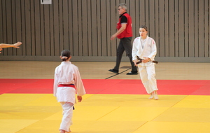 68220ba50245d_IMG9979.JPG