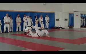 Exercice Jujitsu, Judo, Fighting
