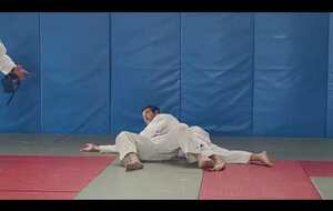 Exercice Jujitsu, Judo, Fighting