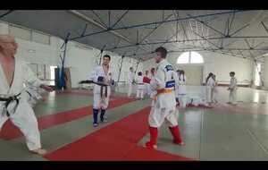 Exercice Jujitsu, Judo, Fighting