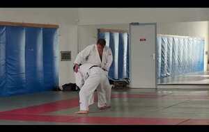 Exercice Jujitsu, Judo, Fighting