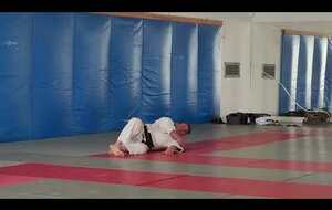 Exercice Jujitsu, Judo, Fighting