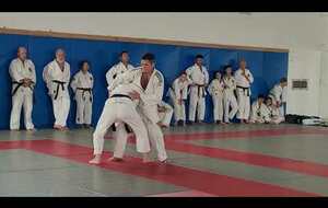 Exercice Jujitsu, Judo, Fighting