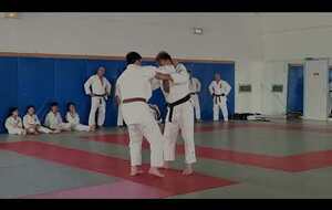 Exercice Jujitsu, Judo, Fighting