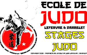 Stage Judo Le Lavandou Toussaint 2020